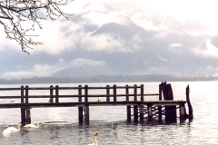Janvier 2000 01