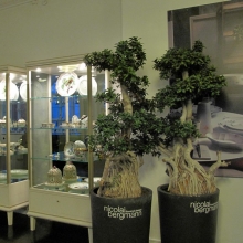 2010_Vikings_voyage_Copenhague_017_(Copier)