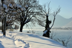 2010_Vikings_baignade_neige_soleil_03